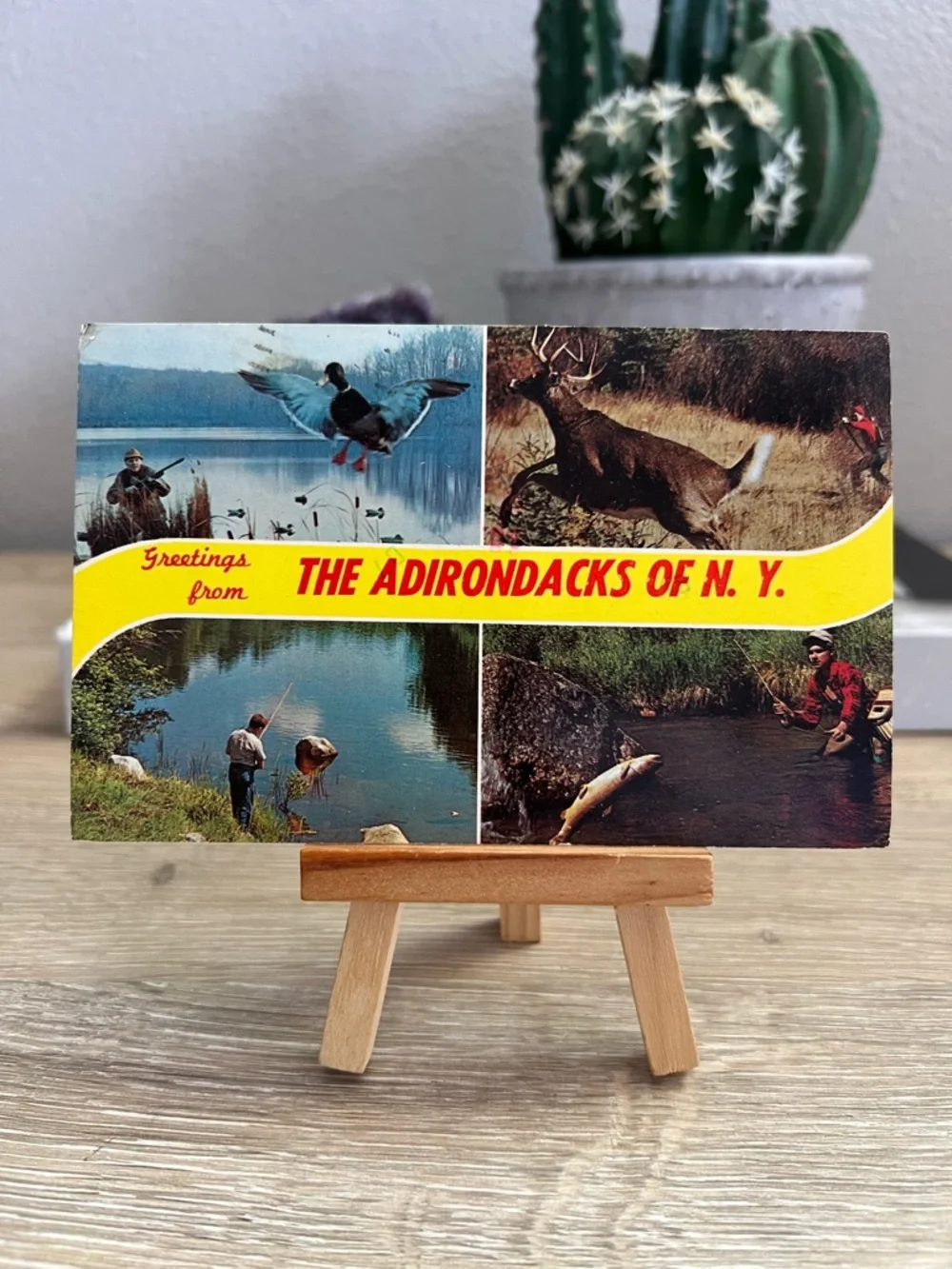Vintage Adirondacks NY Postcard Hunting Fishing Deer Duck Multi View 1973